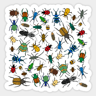 Beetles Pattern Sticker